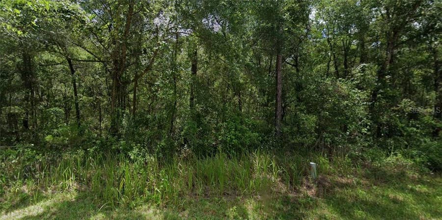 Property photo for 305 N Fitzpatrick AVENUE, Inverness, FL