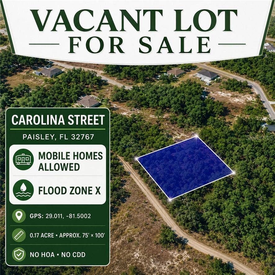 Property photo for 0 CAROLINA, Paisley, FL