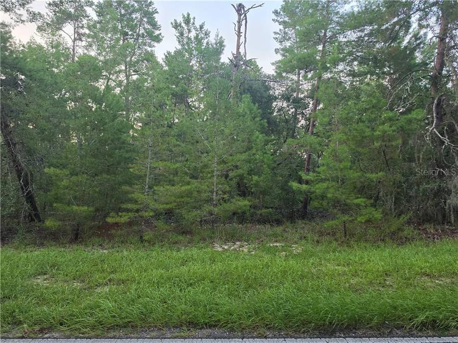 Property photo for 17 Oak Village BOULEVARD, Homosassa, FL