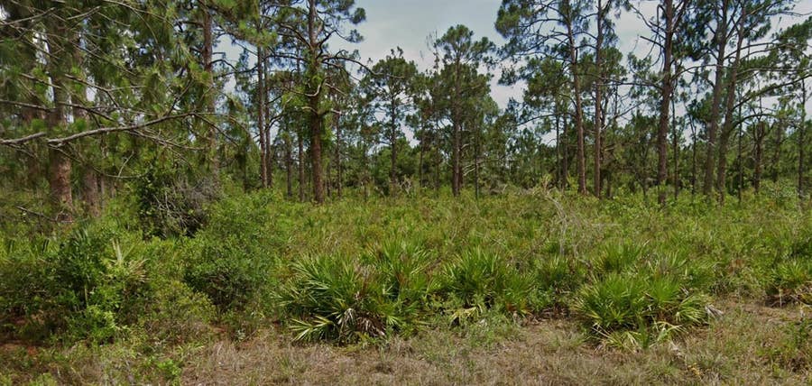 Property photo for 13547 LYNBROOK AVENUE, Port Charlotte, FL