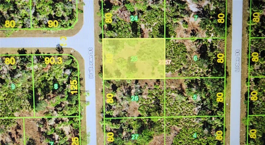 Property photo for 318 HALLORAN STREET, Port Charlotte, FL