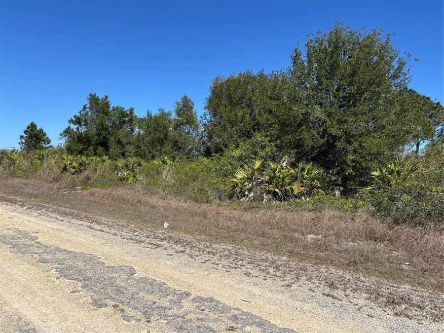 Property photo for 413 & 415 FERNWOOD AVENUE S, Lehigh Acres, FL