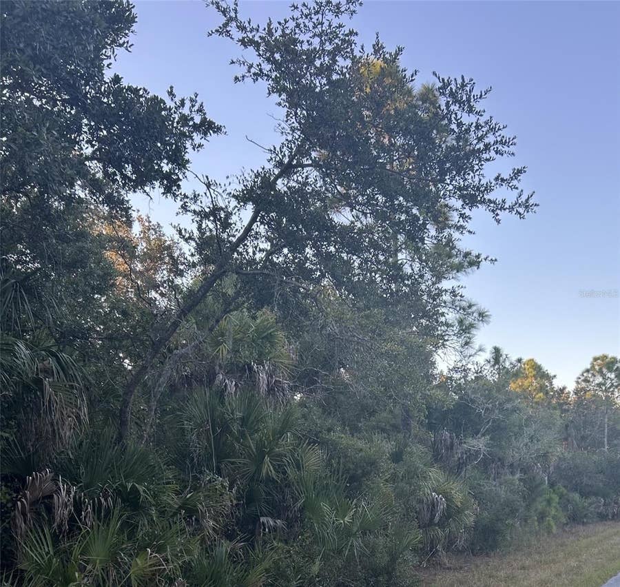 Property photo for 23391 BUCKNER AVENUE, Port Charlotte, FL