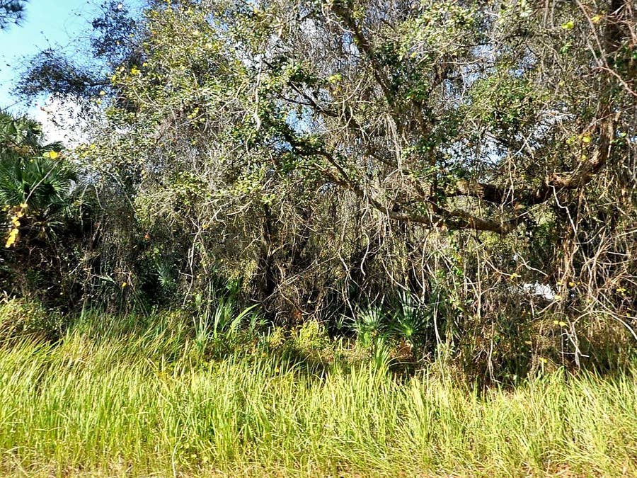 Property photo for KACHER ROAD, North Port, FL