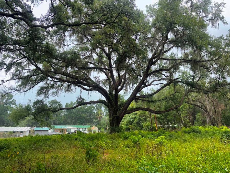 Property photo for 6360 SE 145TH PLACE, Summerfield, FL