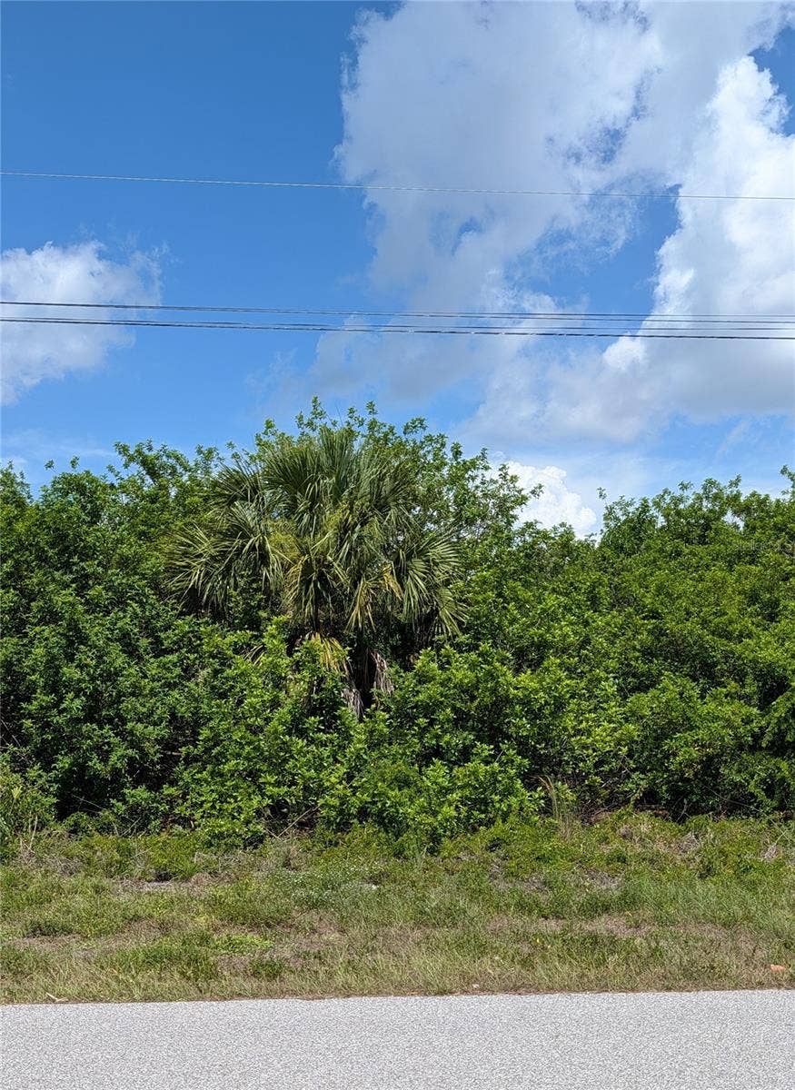 Property photo for 9309 GALAXIE CIRCLE, Port Charlotte, FL