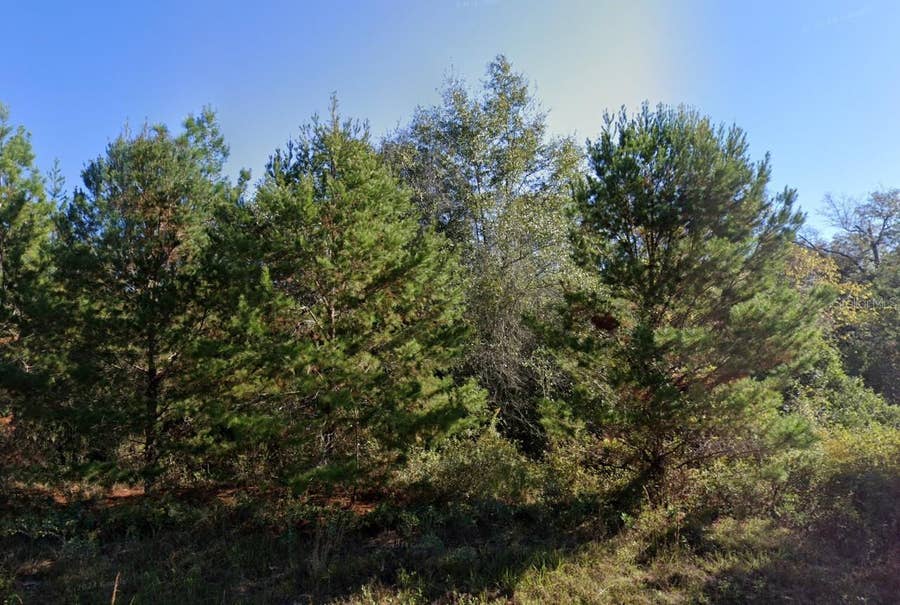 Property photo for PARKVIEW LOT 13 DRIVE, Chipley, FL