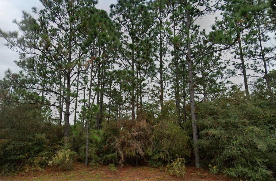 Property photo for DELTONA BOULEVARD, Chipley, FL