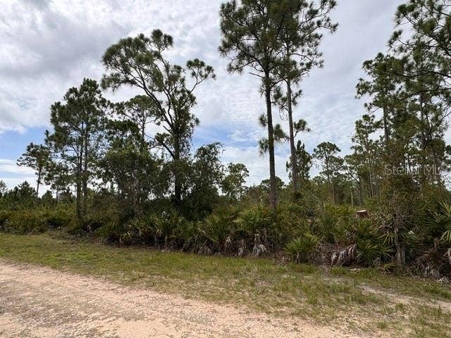 Property photo for 27430 CHRYSALIS DRIVE, Punta Gorda, FL
