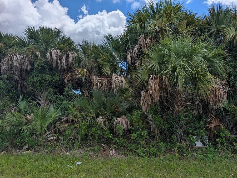 Property photo for 13337 APPLETON BOULEVARD, Port Charlotte, FL