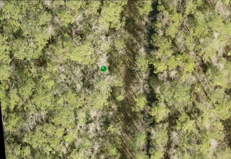 NO STREET, Lake Helen, FL 32744 NO STREET, Lake Helen, FL 32744
