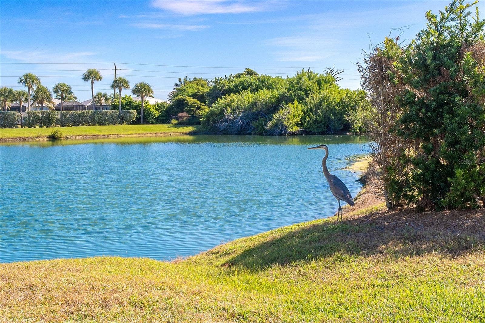 11220 HACIENDA DEL MAR BOULEVARD, #203, Placida, FL 33946 11220 HACIENDA DEL MAR BOULEVARD, #203, Placida, FL 33946