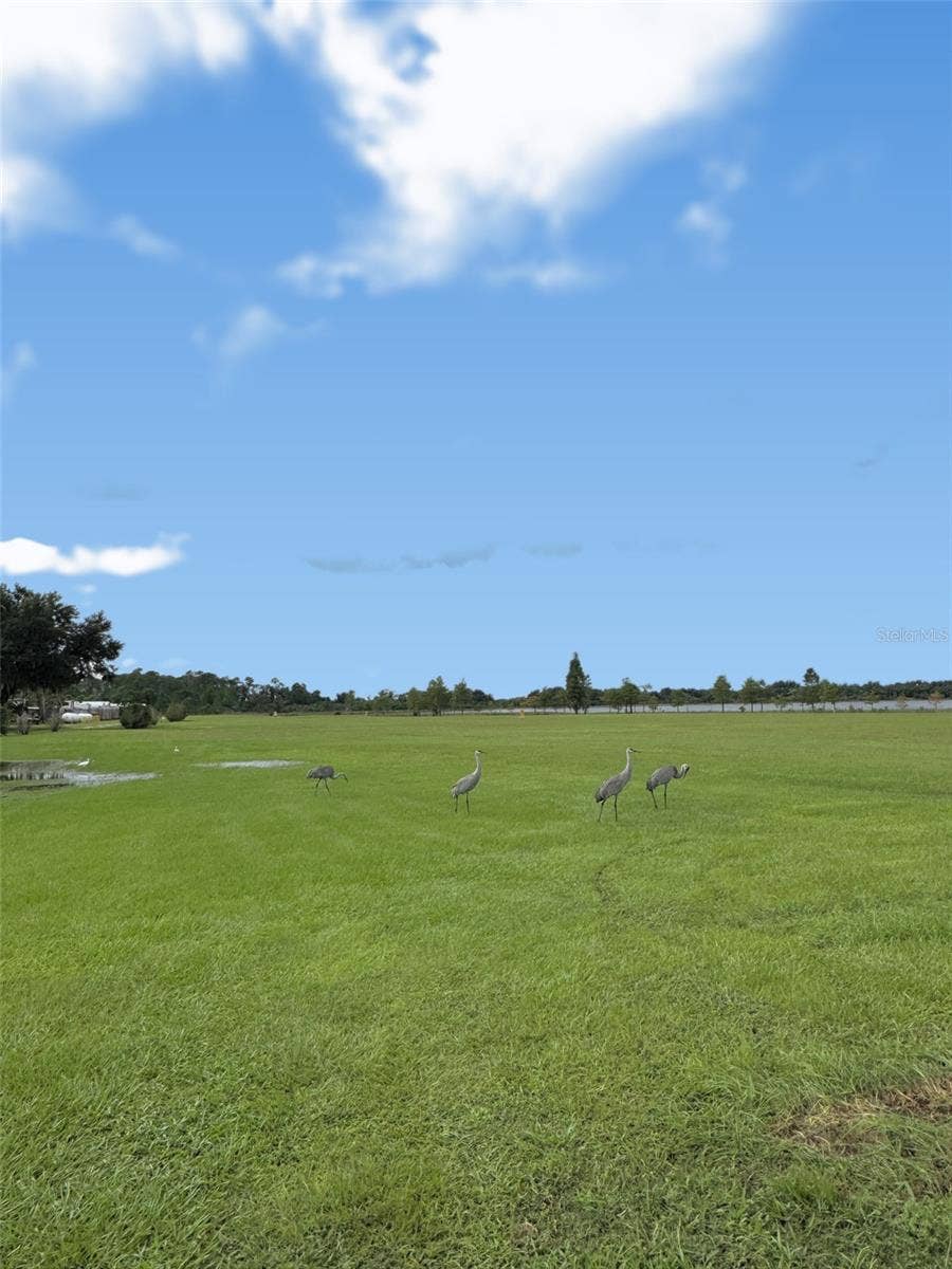 12 SADDLEBAG TRAIL N, Lake Wales, FL 33898 12 SADDLEBAG TRAIL N, Lake Wales, FL 33898