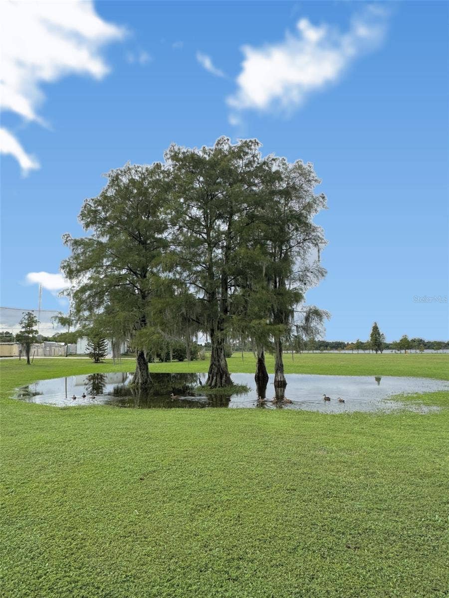 12 SADDLEBAG TRAIL N, Lake Wales, FL 33898 12 SADDLEBAG TRAIL N, Lake Wales, FL 33898