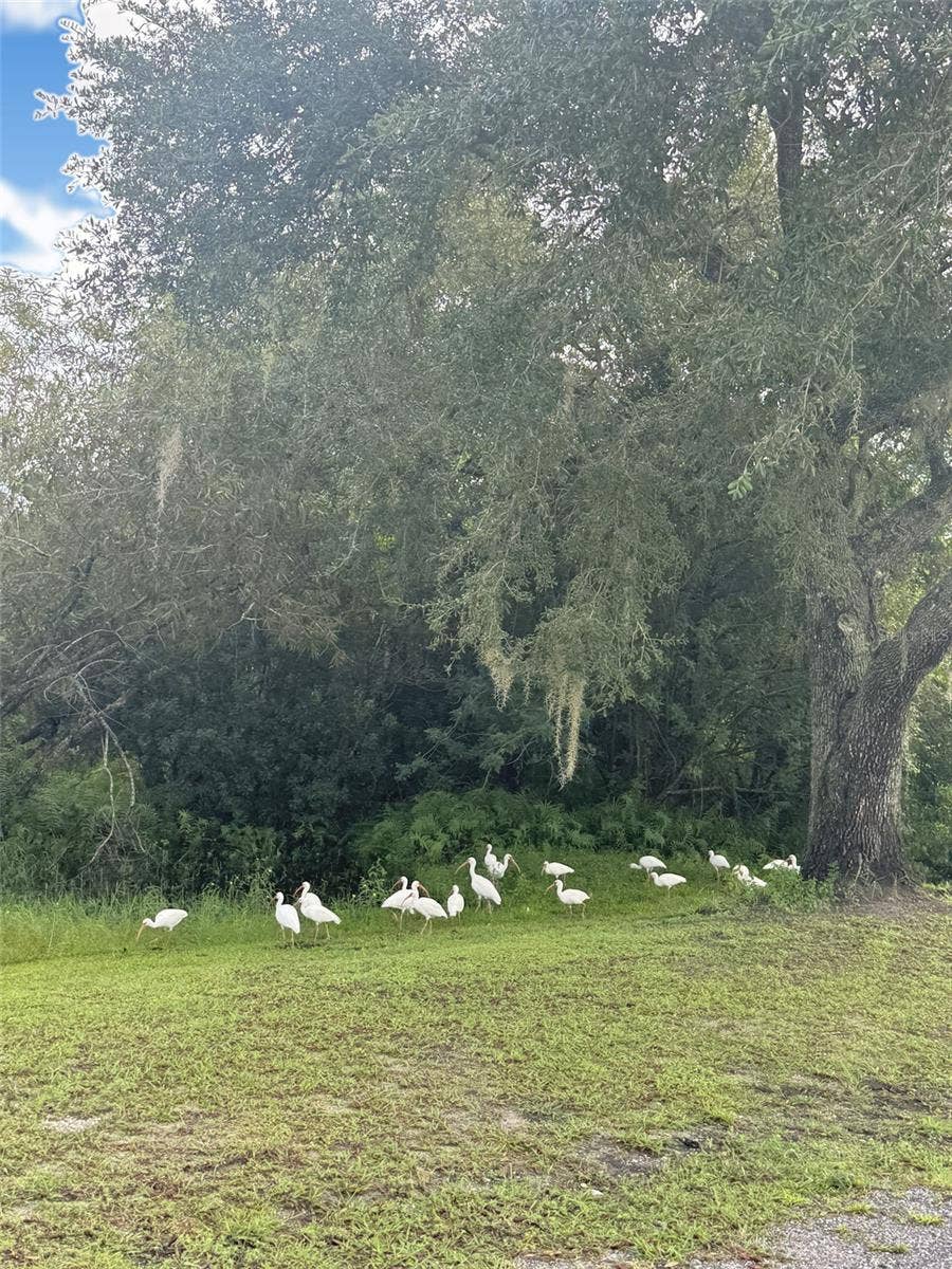 12 SADDLEBAG TRAIL N, Lake Wales, FL 33898 12 SADDLEBAG TRAIL N, Lake Wales, FL 33898