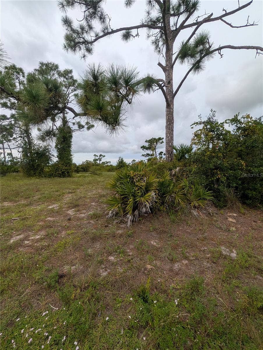 18 EBB CIRCLE, Placida, FL 33946 18 EBB CIRCLE, Placida, FL 33946