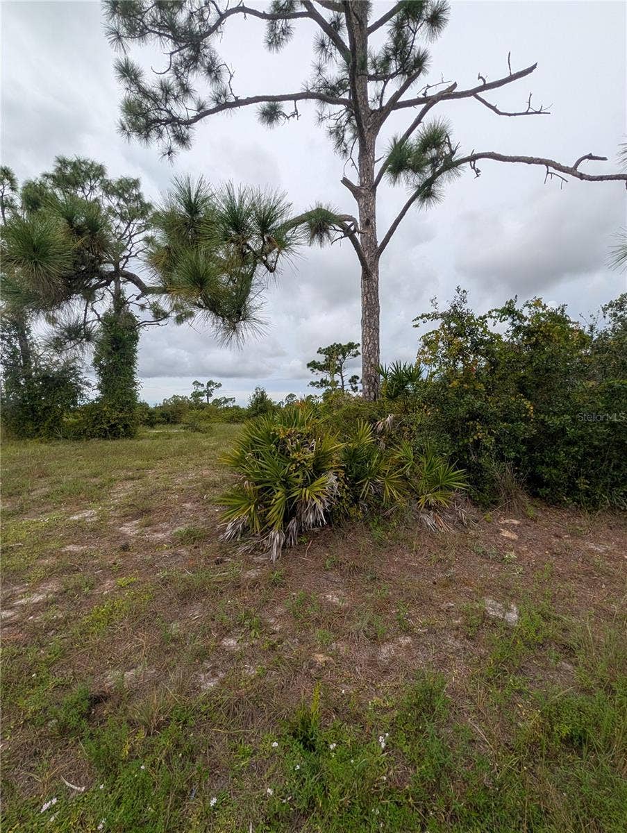 18 EBB CIRCLE, Placida, FL 33946 18 EBB CIRCLE, Placida, FL 33946