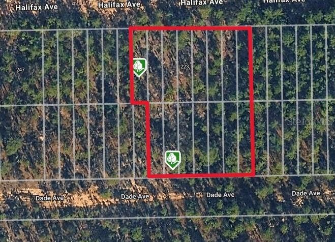 DADE AVE, Interlachen, FL 32148 DADE AVE, Interlachen, FL 32148