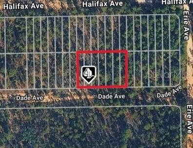 DADE AVE, Interlachen, FL 32148 DADE AVE, Interlachen, FL 32148