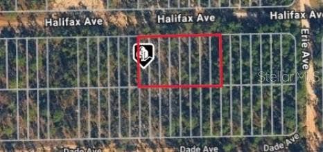 Property photo for HALIFAX AVE, Interlachen, FL