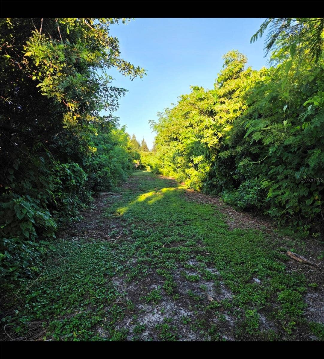 7405 FLORIDA STREET, Punta Gorda, FL 33950 7405 FLORIDA STREET, Punta Gorda, FL 33950