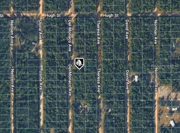 920 DEL MONACO AVENUE, Interlachen, FL 32148 920 DEL MONACO AVENUE, Interlachen, FL 32148