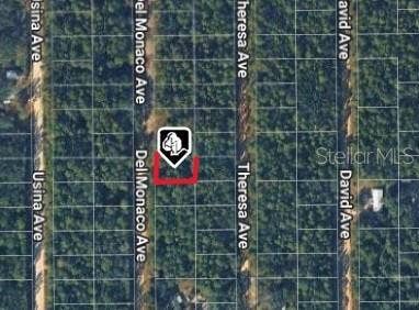 920 DEL MONACO AVENUE, Interlachen, FL 32148 920 DEL MONACO AVENUE, Interlachen, FL 32148