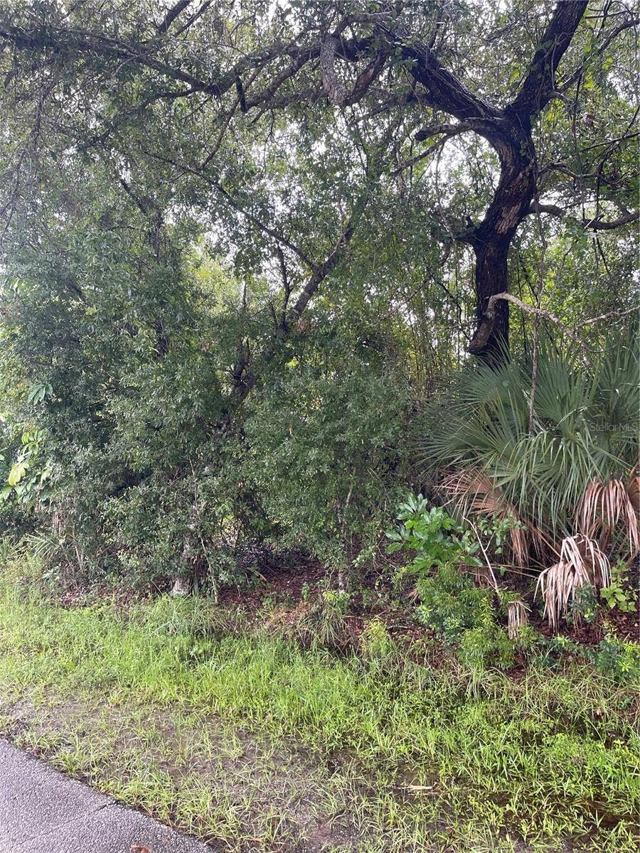 11327 BAGGOT AVENUE, Englewood, FL 34224 11327 BAGGOT AVENUE, Englewood, FL 34224
