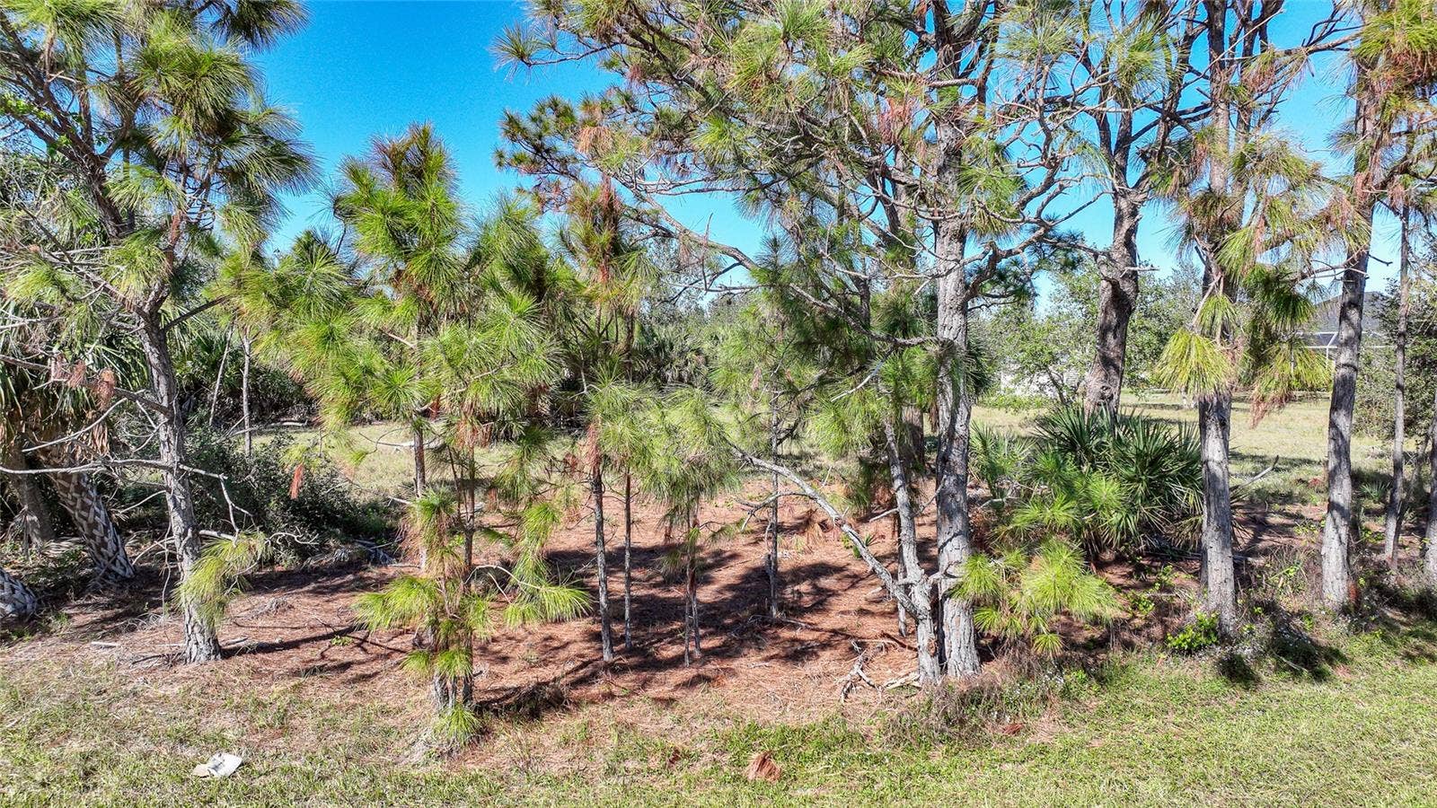 9531 & 9551 HORACE CIRCLE, Port Charlotte, FL 33981