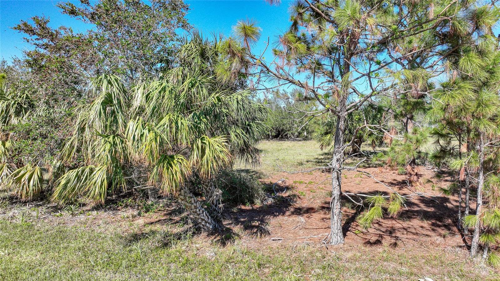 9531 & 9551 HORACE CIRCLE, Port Charlotte, FL 33981