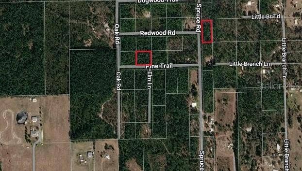 SPRUCE ROAD, Interlachen, FL 32148 SPRUCE ROAD, Interlachen, FL 32148