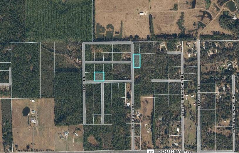 SPRUCE ROAD, Interlachen, FL 32148 SPRUCE ROAD, Interlachen, FL 32148
