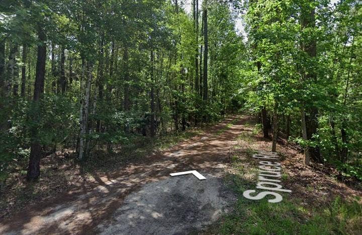 SPRUCE ROAD, Interlachen, FL 32148 SPRUCE ROAD, Interlachen, FL 32148