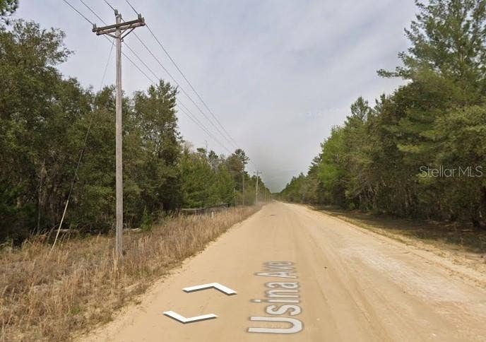 USINA AVE, Interlachen, FL 32148 USINA AVE, Interlachen, FL 32148