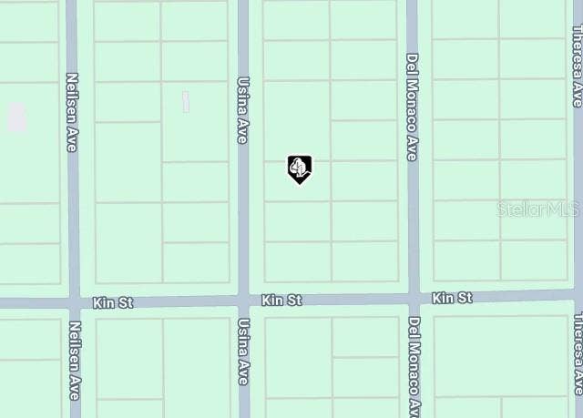 USINA AVE, Interlachen, FL 32148 USINA AVE, Interlachen, FL 32148