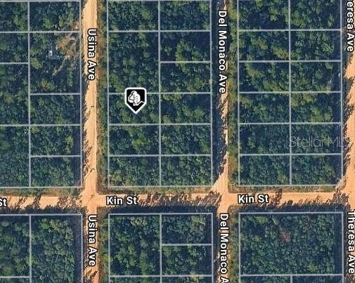 USINA AVE, Interlachen, FL 32148 USINA AVE, Interlachen, FL 32148