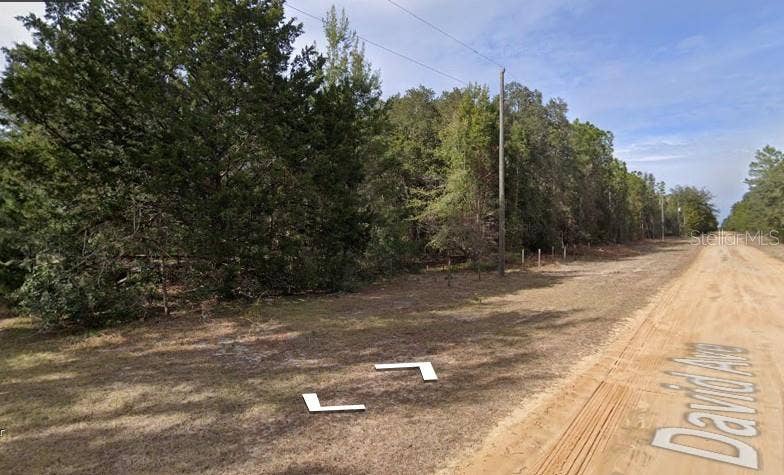 DAVID AVE, Interlachen, FL 32148 DAVID AVE, Interlachen, FL 32148