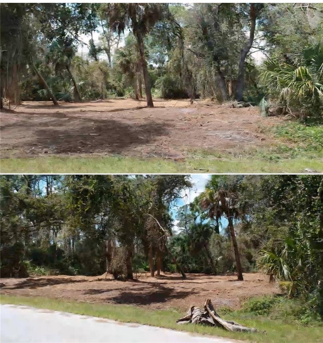 DORIE STREET, North Port, FL 34291 lot was cleared and canopied 2 years ago