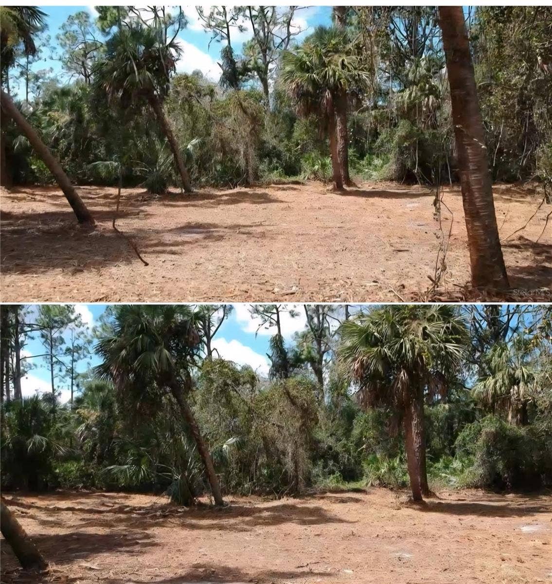 DORIE STREET, North Port, FL 34291 lot was cleared and canopied 2 years ago