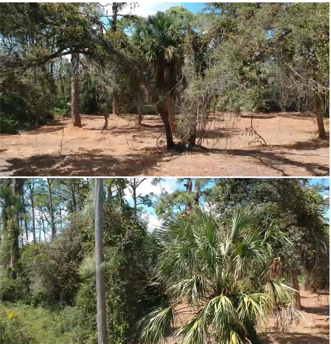 DORIE STREET, North Port, FL 34291 lot was cleared and canopied 2 years ago