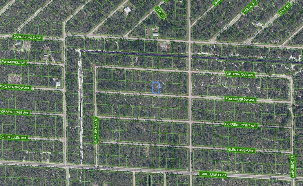 3509 SPOONBILL AVENUE, Lake Placid, FL 33852 3509 SPOONBILL AVENUE, Lake Placid, FL 33852