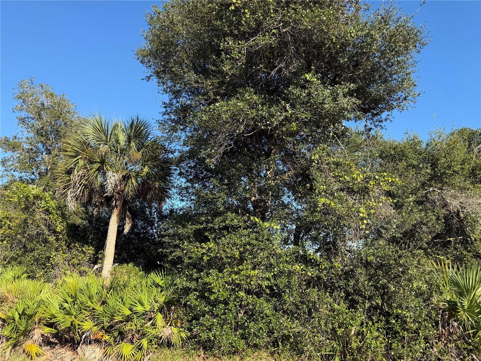 13499 ELEANOR AVENUE, Port Charlotte, FL 33953 13499 ELEANOR AVENUE, Port Charlotte, FL 33953
