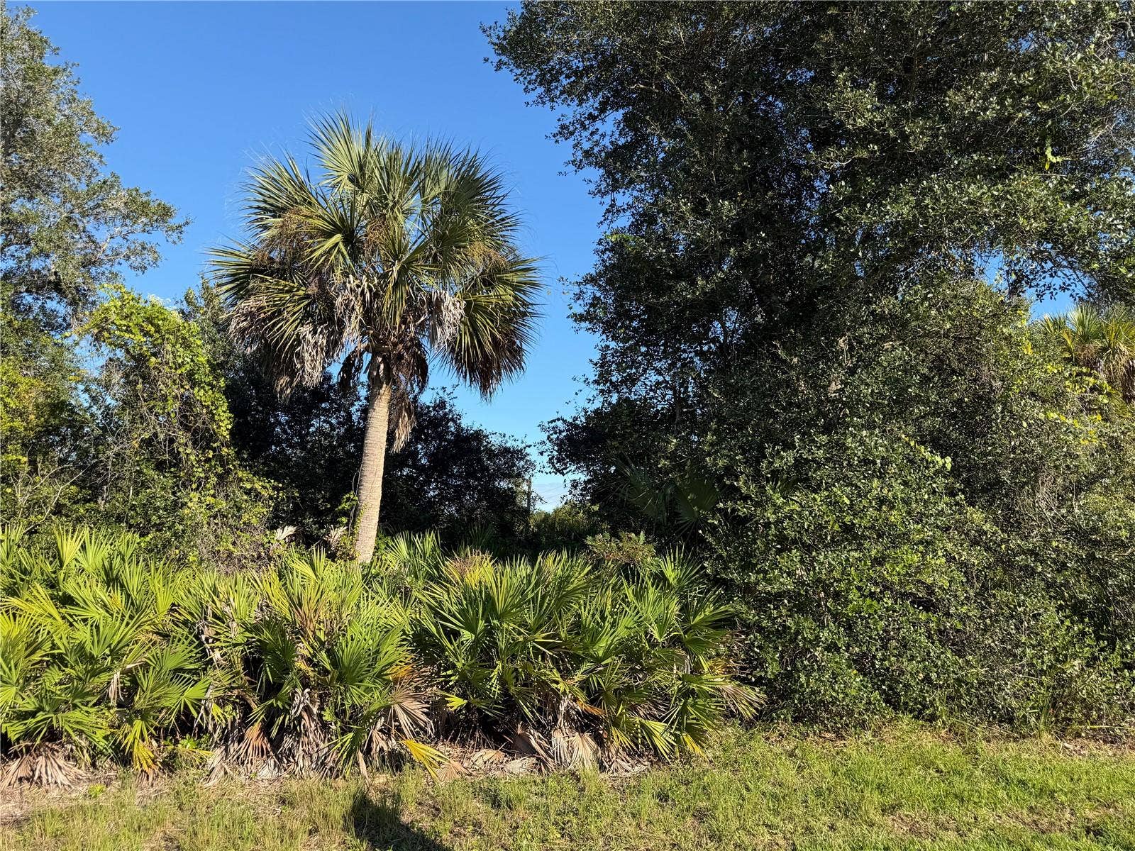 13499 ELEANOR AVENUE, Port Charlotte, FL 33953 13499 ELEANOR AVENUE, Port Charlotte, FL 33953