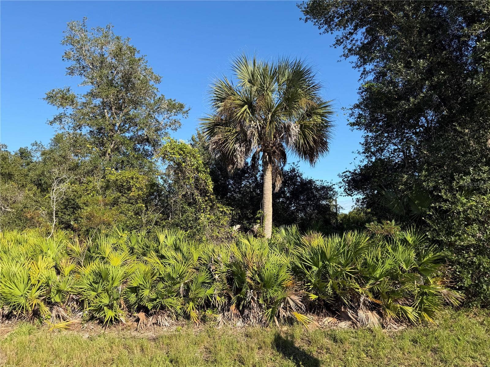 13499 ELEANOR AVENUE, Port Charlotte, FL 33953 13499 ELEANOR AVENUE, Port Charlotte, FL 33953