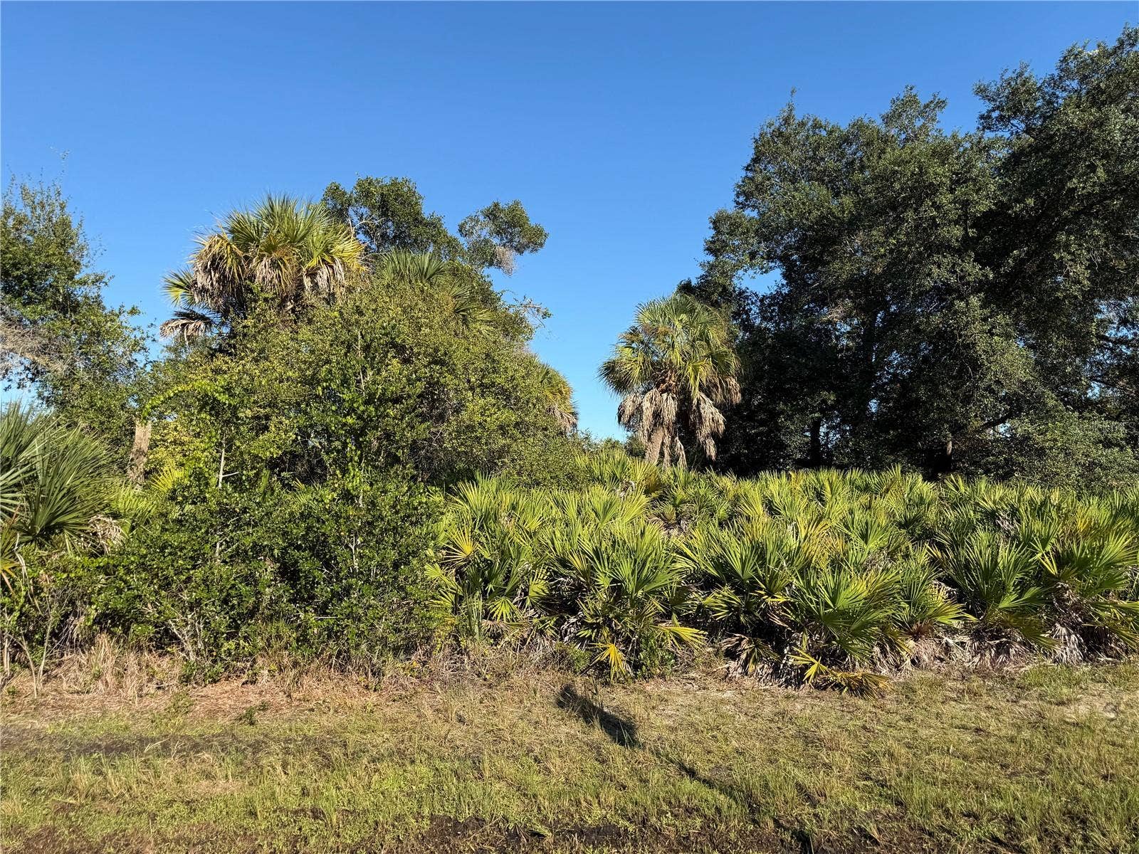 13499 ELEANOR AVENUE, Port Charlotte, FL 33953 13499 ELEANOR AVENUE, Port Charlotte, FL 33953