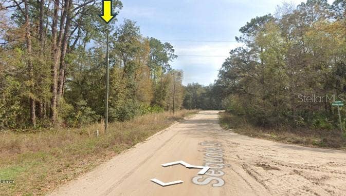 JAMES ST, Interlachen, FL 32148 JAMES ST, Interlachen, FL 32148