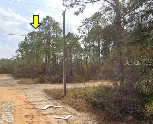 JAMES ST, Interlachen, FL 32148 JAMES ST, Interlachen, FL 32148