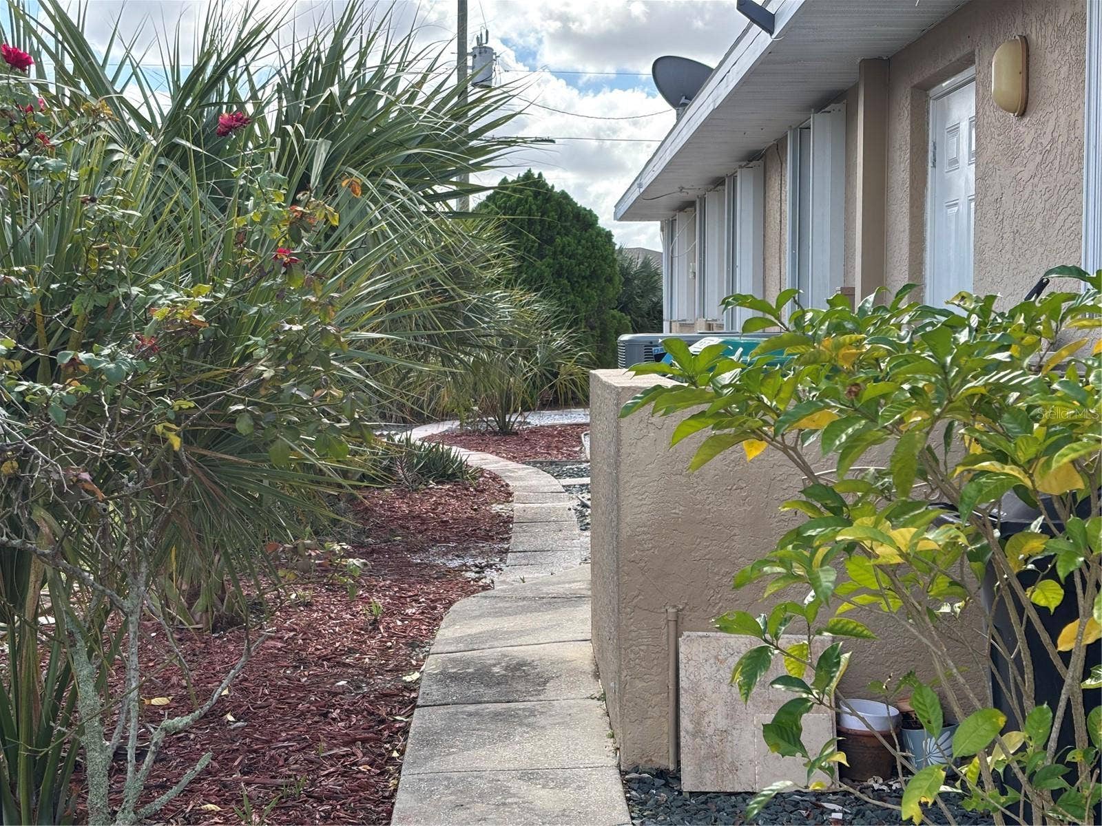 Side yard