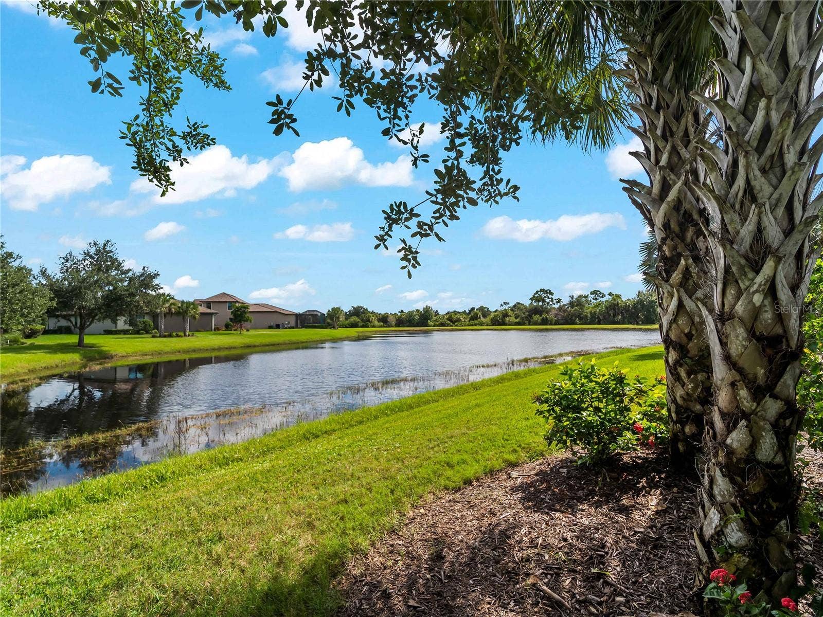 19864 PETRINO STREET, Venice, FL 34293 19864 PETRINO STREET, Venice, FL 34293