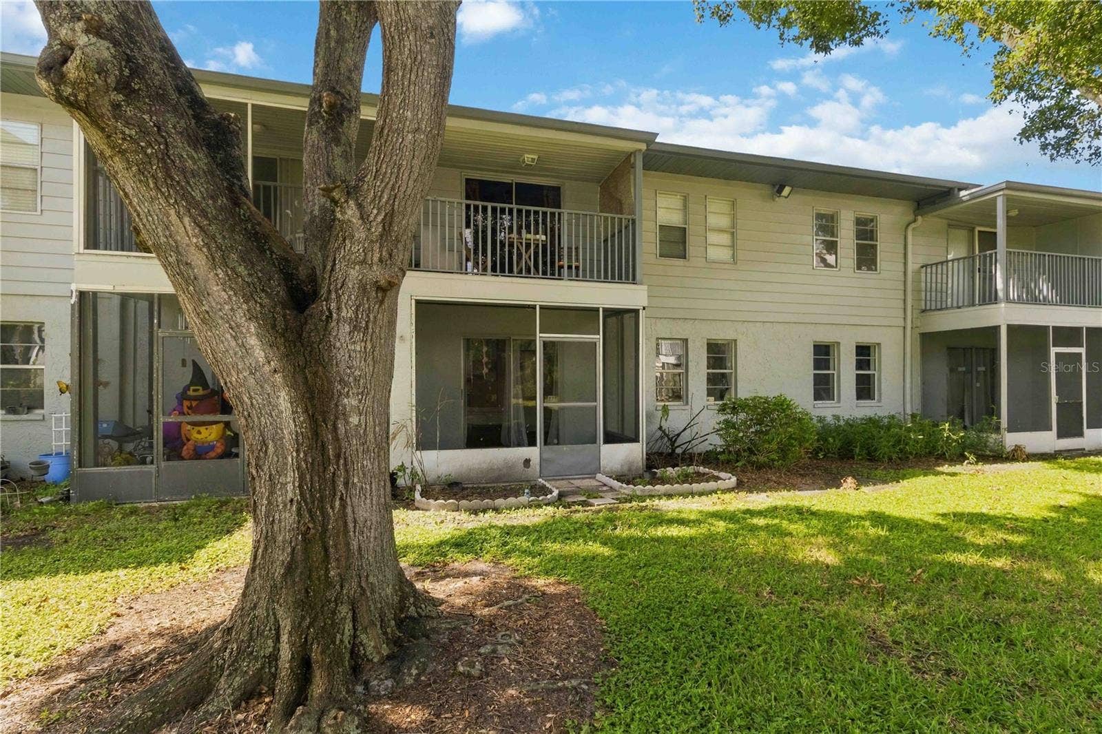 10800 US HIGHWAY 19 N, #115, Pinellas Park, FL 33782 10800 US HIGHWAY 19 N, #115, Pinellas Park, FL 33782